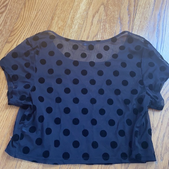 Express Black Mesh Sheer Velvet Crop Top - Twee - Picture 4 of 4